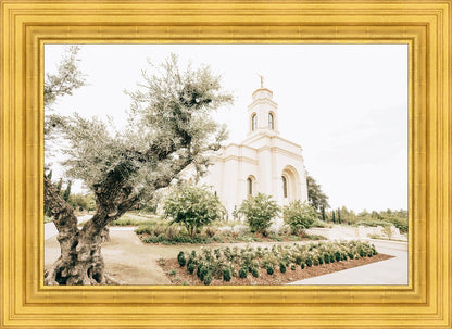 Sweet is The Work Feather River California Temple