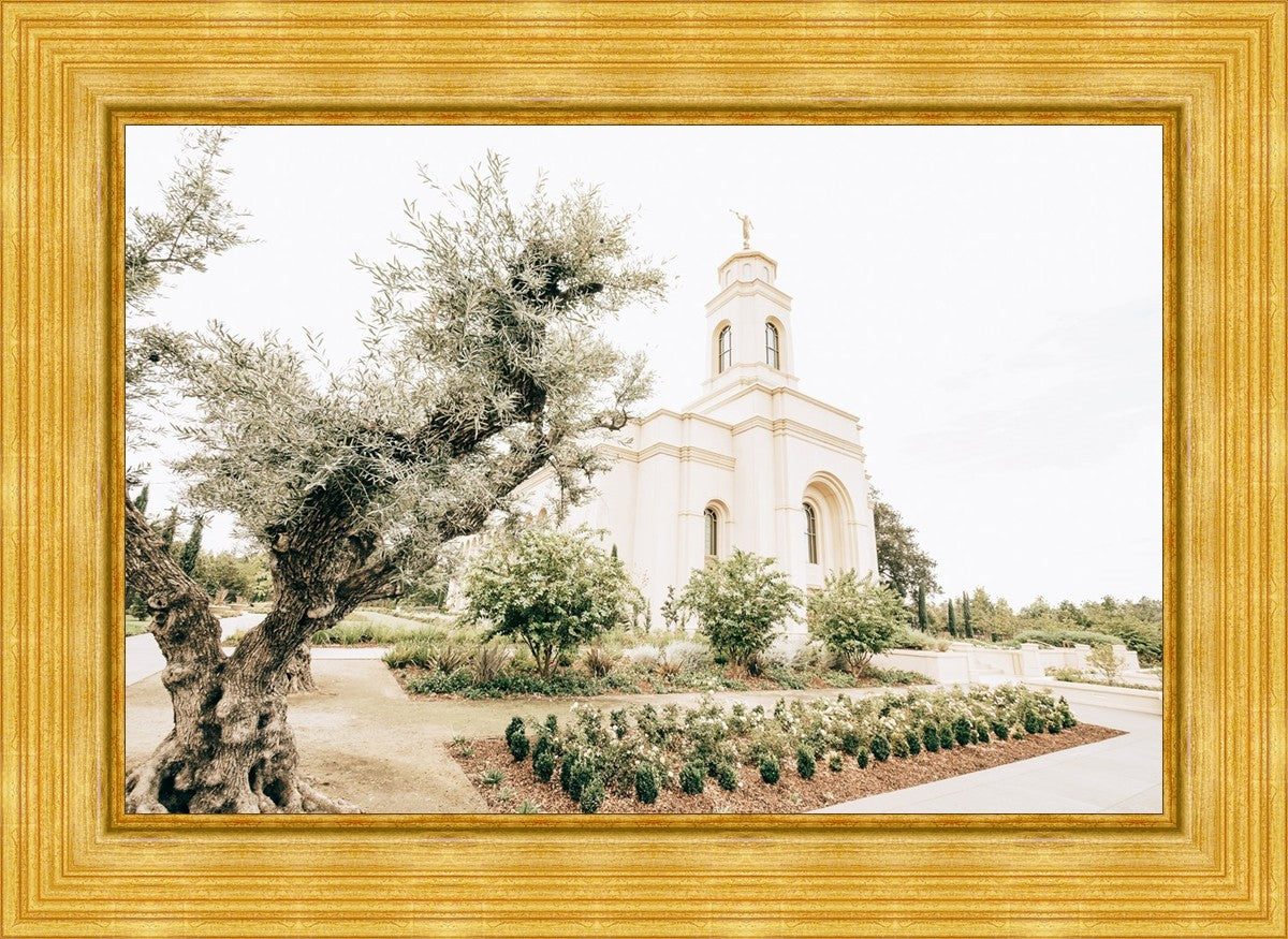 Sweet is The Work Feather River California Temple