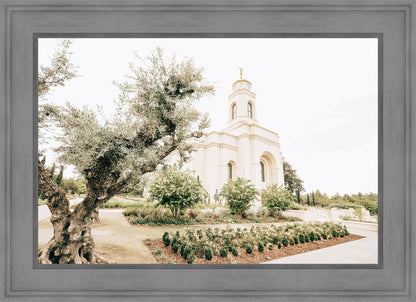 Sweet is The Work Feather River California Temple
