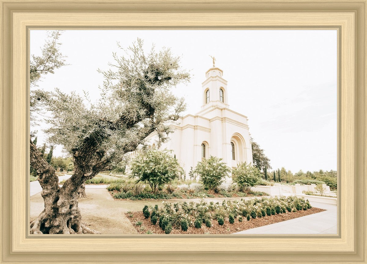 Sweet is The Work Feather River California Temple