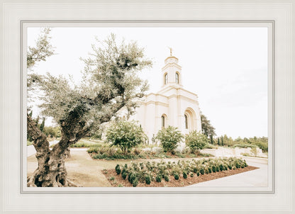 Sweet is The Work Feather River California Temple