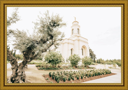 Sweet is The Work Feather River California Temple Large Wall Art