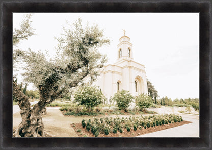 Sweet is The Work Feather River California Temple Large Wall Art
