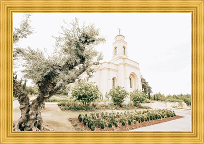 Sweet is The Work Feather River California Temple Large Wall Art