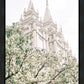 Sweet is The Work Salt Lake City Utah Temple