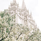 Sweet is The Work Salt Lake City Utah Temple