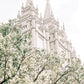 Sweet is The Work Salt Lake City Utah Temple