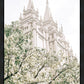 Sweet is The Work Salt Lake City Utah Temple