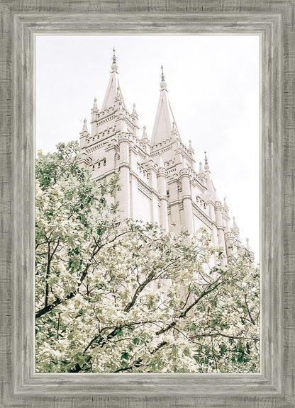 Sweet is The Work Salt Lake City Utah Temple