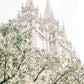 Sweet is The Work Salt Lake City Utah Temple