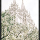 Sweet is The Work Salt Lake City Utah Temple