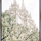 Sweet is The Work Salt Lake City Utah Temple