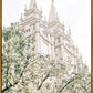 Sweet is The Work Salt Lake City Utah Temple