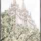 Sweet is The Work Salt Lake City Utah Temple
