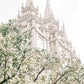 Sweet is The Work Salt Lake City Utah Temple