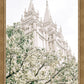 Sweet is The Work Salt Lake City Utah Temple