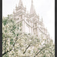 Sweet is The Work Salt Lake City Utah Temple