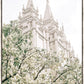 Sweet is The Work Salt Lake City Utah Temple