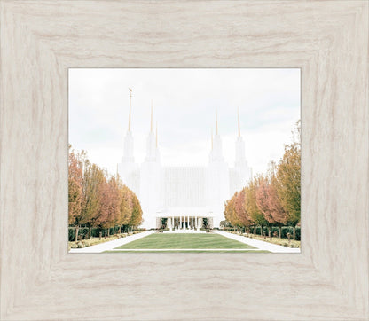 Sweet is The Work Washington DC Temple
