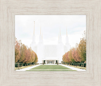 Sweet is The Work Washington DC Temple