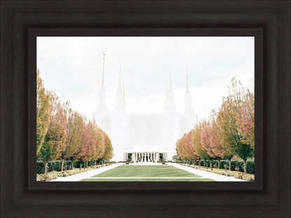 Sweet is The Work Washington DC Temple