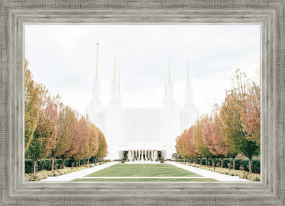 Sweet is The Work Washington DC Temple