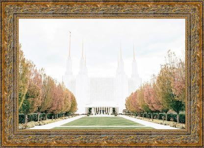 Sweet is The Work Washington DC Temple