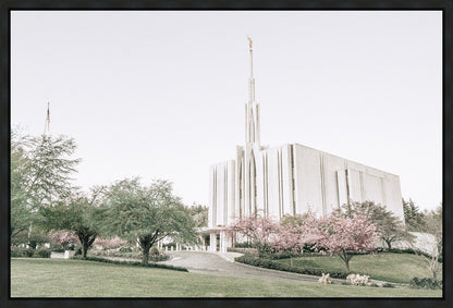 Sweet is The Work Seattle Washington Temple Gallery Wrap