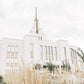 Sweet is The Work Saratoga Springs Utah Temple