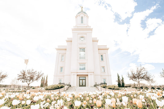Sweet is The Work Cedar City Utah Temple Large Wall Art