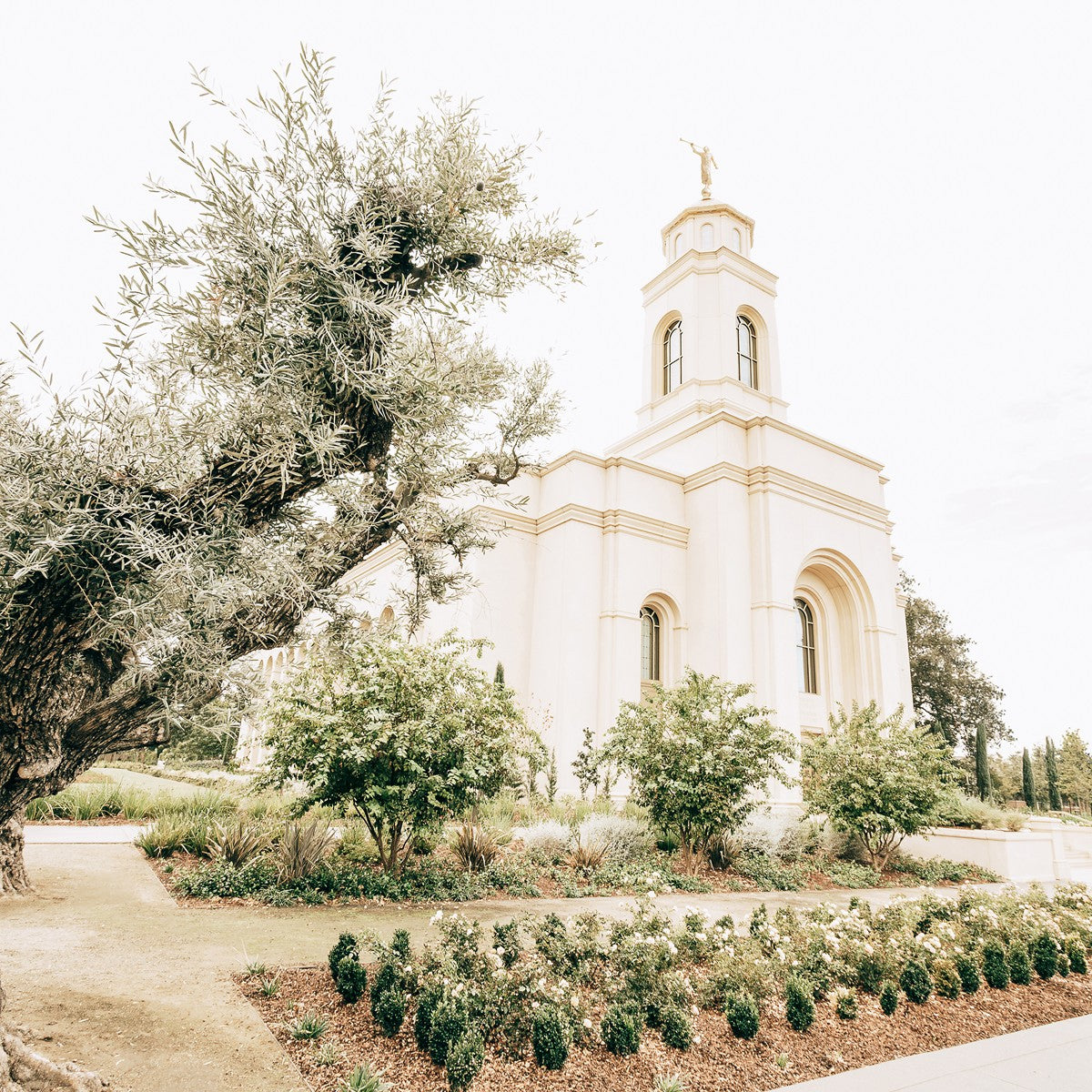 Sweet is The Work Feather River California Temple