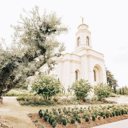 Sweet is The Work Feather River California Temple