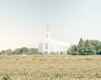 Burley Idaho Immaculate Embrace Blue