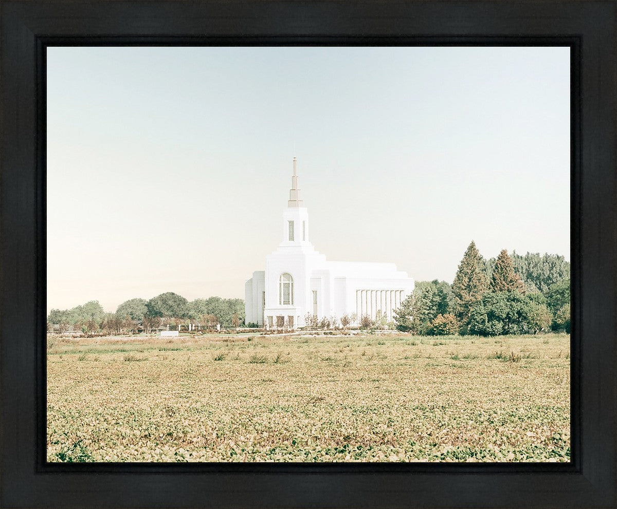 Burley Idaho Immaculate Embrace Blue