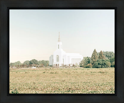 Burley Idaho Immaculate Embrace Blue