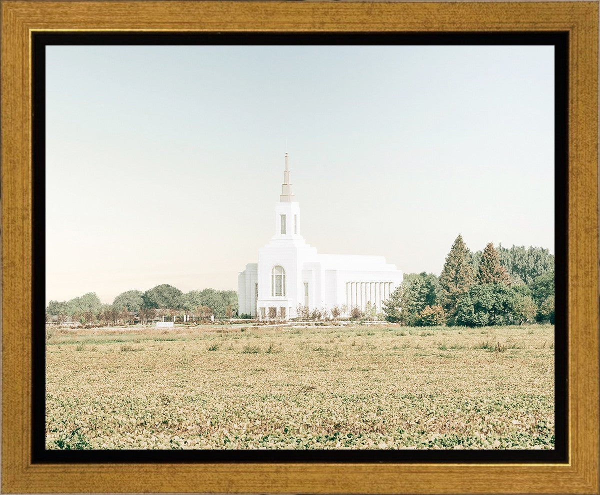 Burley Idaho Immaculate Embrace Blue