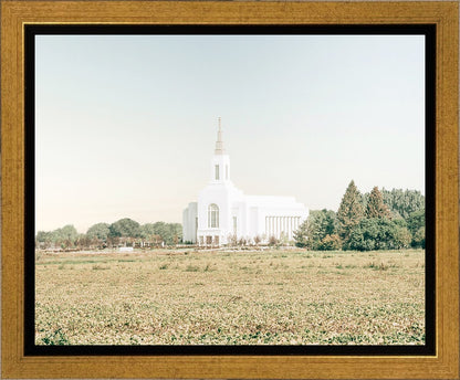 Burley Idaho Immaculate Embrace Blue