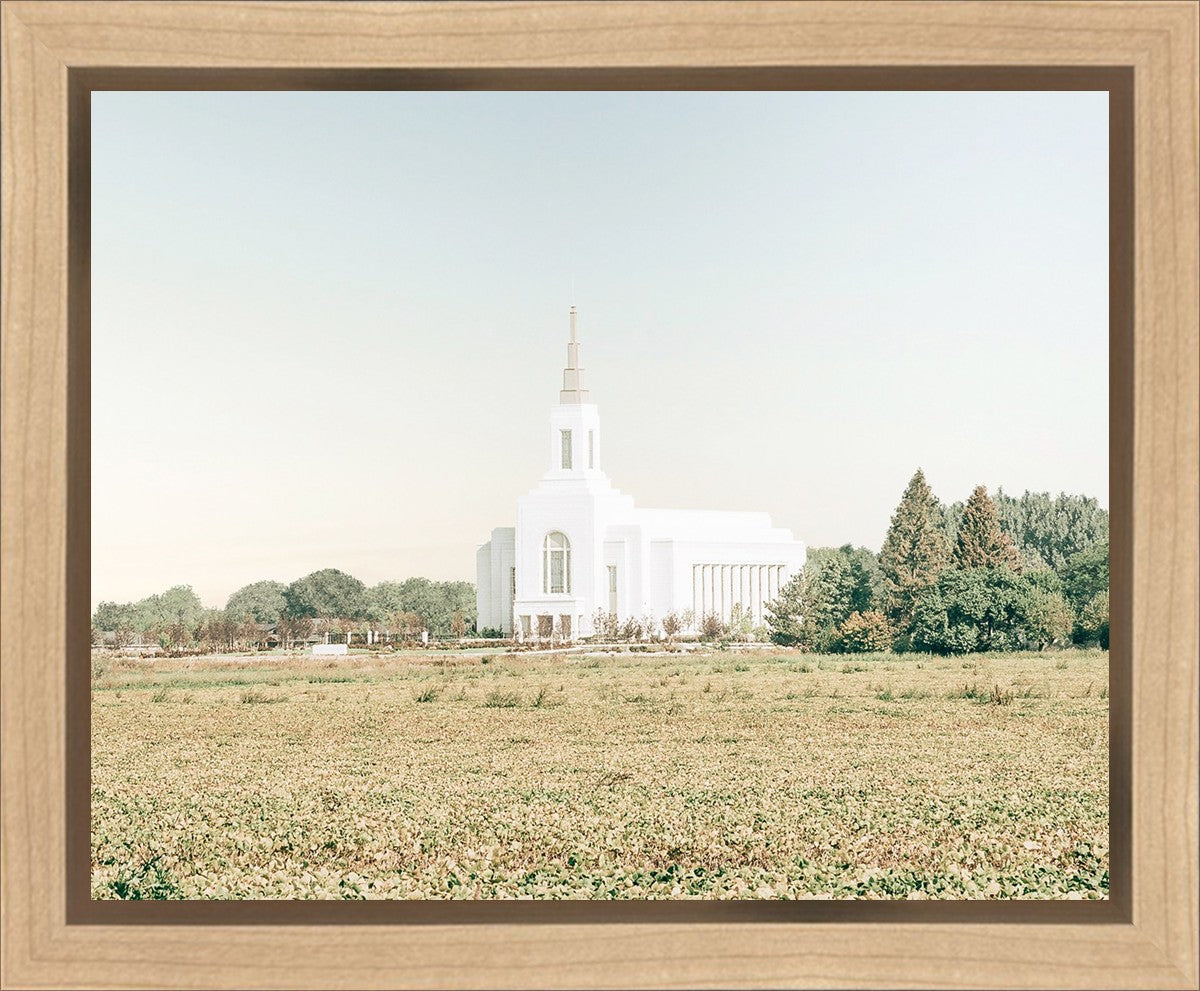 Burley Idaho Immaculate Embrace Blue