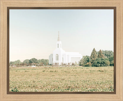 Burley Idaho Immaculate Embrace Blue