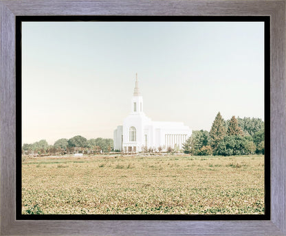 Burley Idaho Immaculate Embrace Blue