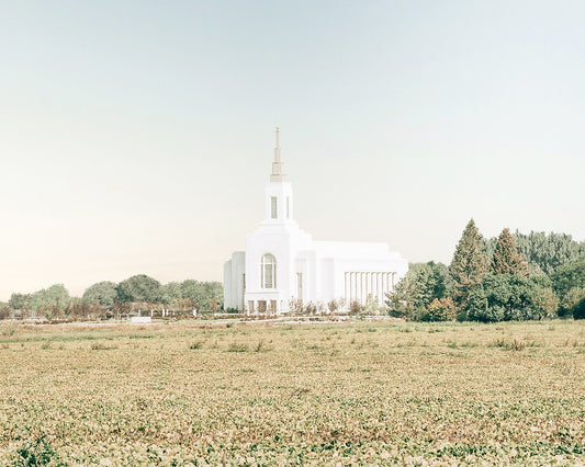 Burley Idaho Immaculate Embrace Blue