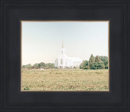 Burley Idaho Immaculate Embrace Blue