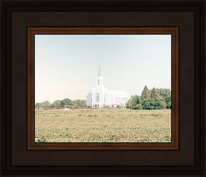 Burley Idaho Immaculate Embrace Blue