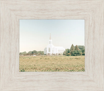 Burley Idaho Immaculate Embrace Blue