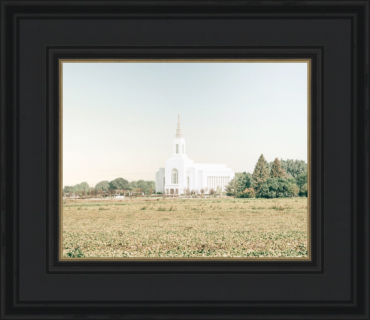 Burley Idaho Immaculate Embrace Blue