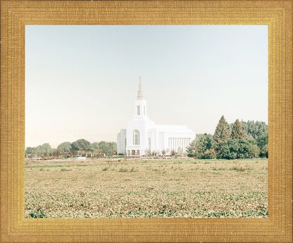 Burley Idaho Immaculate Embrace Blue