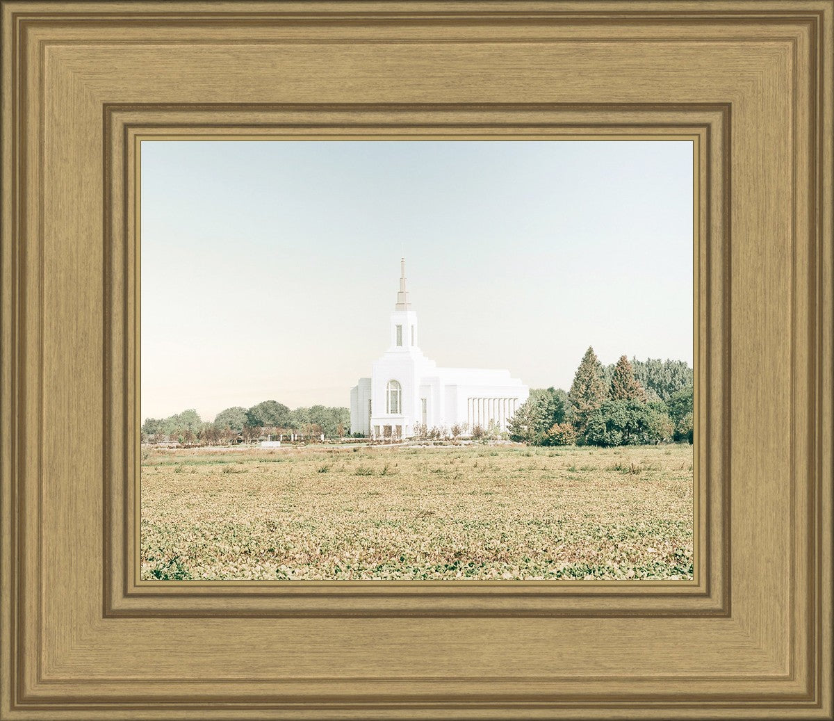 Burley Idaho Immaculate Embrace Blue