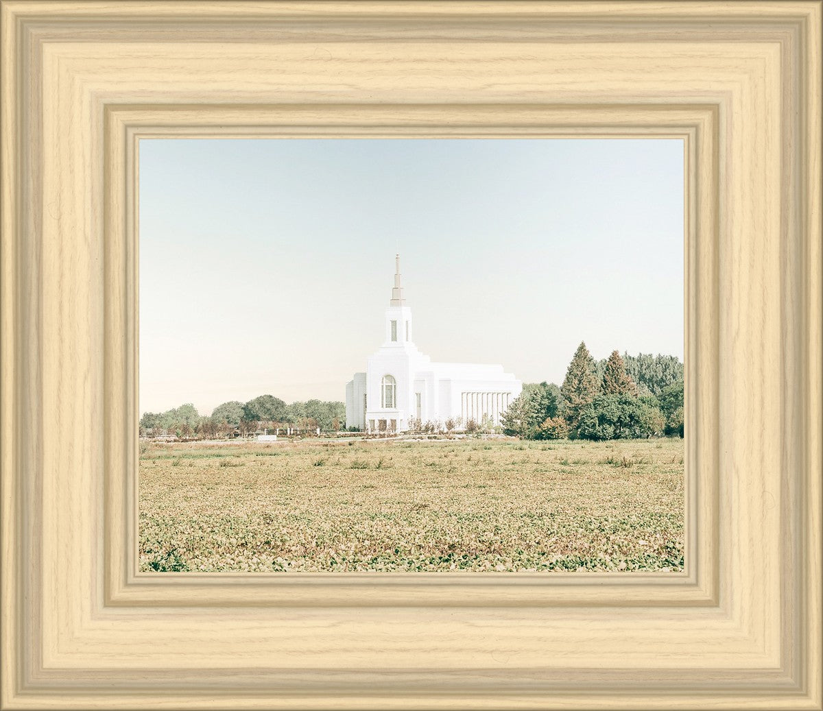 Burley Idaho Immaculate Embrace Blue