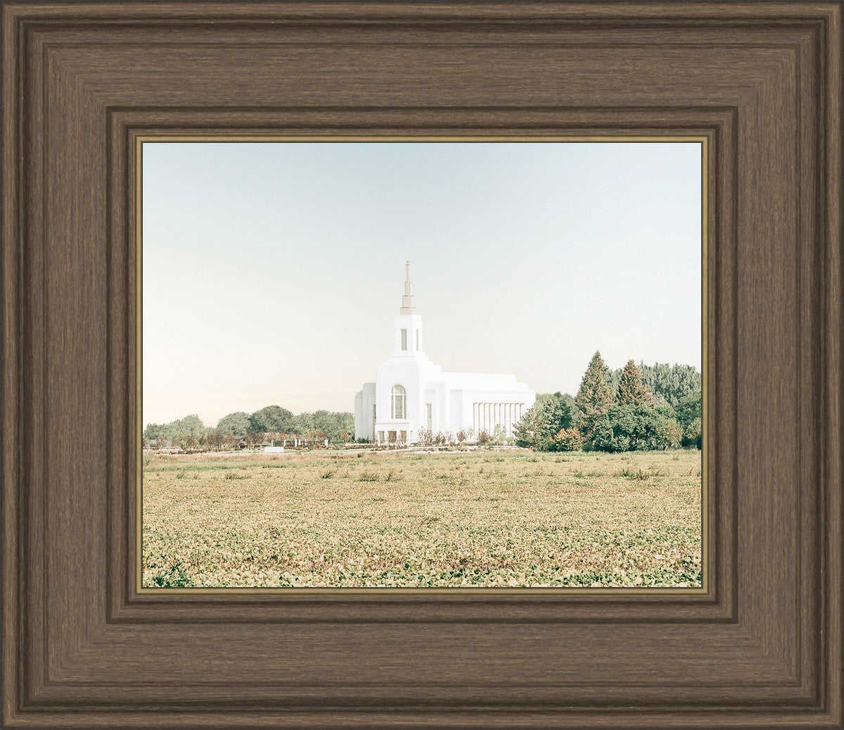 Burley Idaho Immaculate Embrace Blue