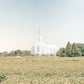 Burley Idaho Immaculate Embrace Blue